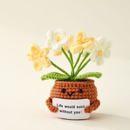 The Little Pot of Positivity — Myosotis Sylvatica (3 colours)