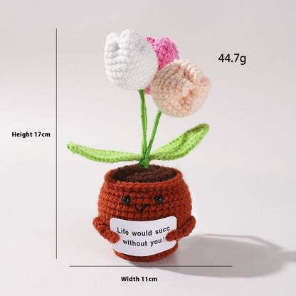 The Little Pot of Positivity — 3 Tulips (2 colours)