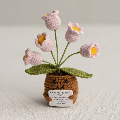 The Little Pot of Positivity — 5 Flowers