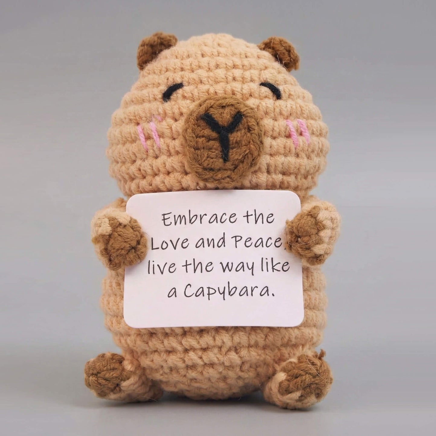 The Little Friend of Positivity — Capybara