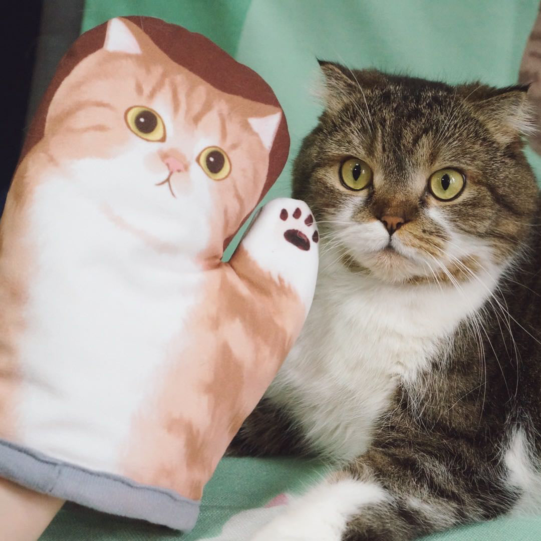 The 'Pawsome' Cat Oven Mitts (4 Designs)