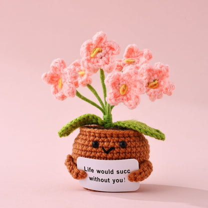 The Little Pot of Positivity — Myosotis Sylvatica (3 colours)