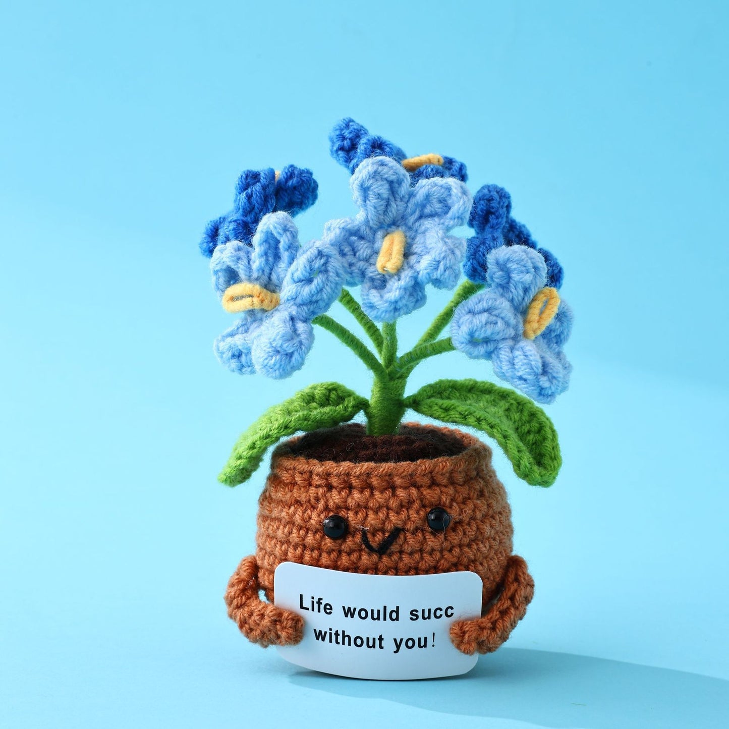 The Little Pot of Positivity — Myosotis Sylvatica (3 colours)