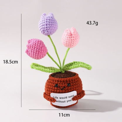 The Little Pot of Positivity — 3 Tulips (2 colours)