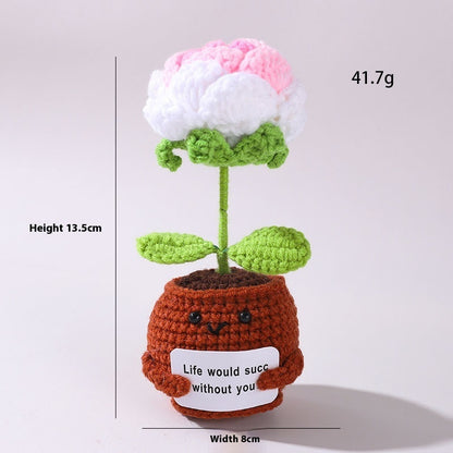 The Little Pot of Positivity — Rose (11 colours)