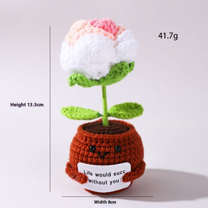 The Little Pot of Positivity — Rose (11 colours)