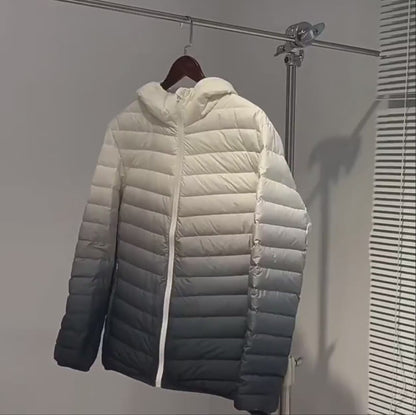 Ladies’ Lightweight Hooded Puffer Coat (Ombre, Autumn/Winter)