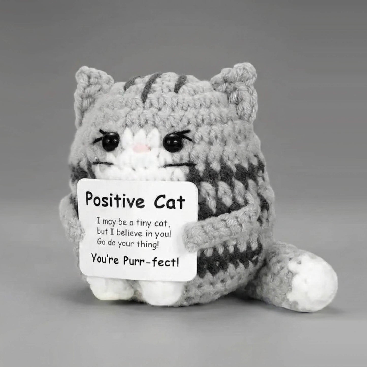 The Little Friend of Positivity — Silver Tabby